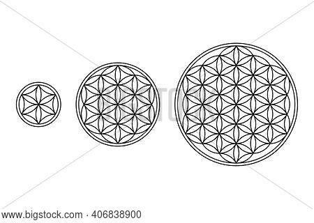 Flower Of Life, Core And Seed Of Life. Geometric Figures And Spiritual Symbols Of The Sacred Geometr