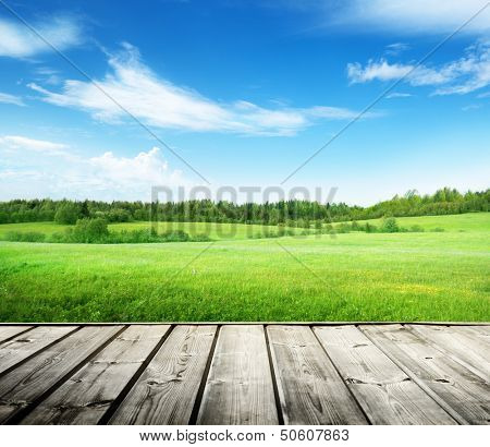 field of grass and perfect sky