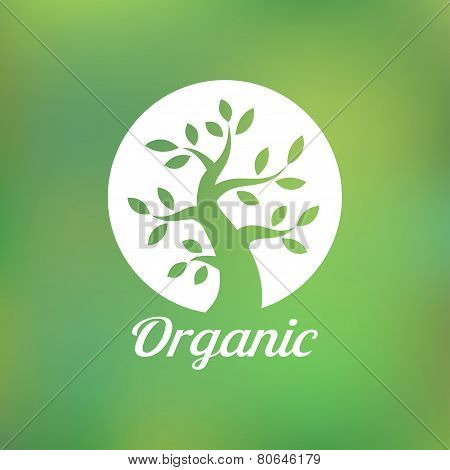 Organic green tree logo, eco emblem, ecology natural symbol