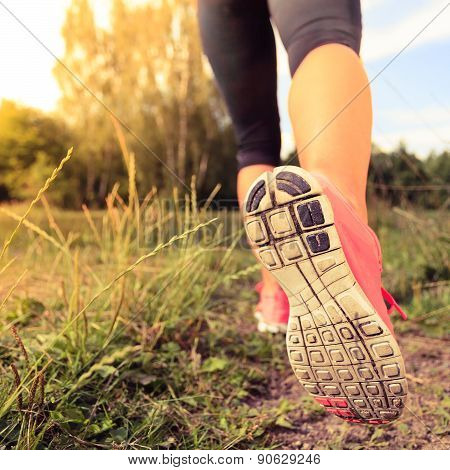 Walking Or Running Legs In Forest, Adventure And Exercising