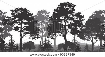 Seamless Background, Summer Forest Silhouettes