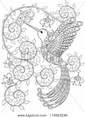 Coloring page with Hummingbird, zentangle flying bird  for adult