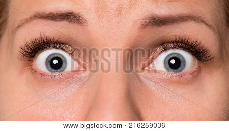 Close-up scared face of beautiful young woman with beautiful blue eyes and big pretty eyelashes and eyebrows. Macro of human eyes - surprise or shock, looking at camera.