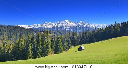 Panoramic view on green Alpine valley on snowy mountain background. Sunny summer day in Alps. Blue sky over picturesque mountains peaks. Classic mountain landscape.