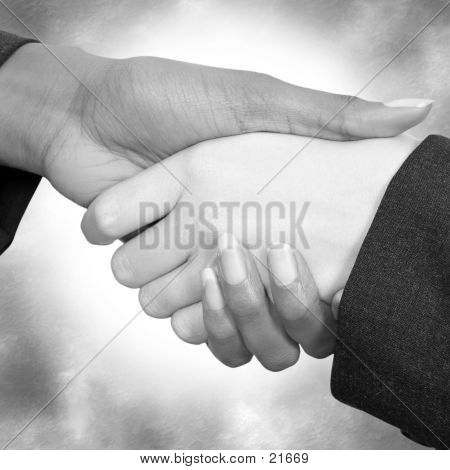 Vrouwelijke Handshake 03