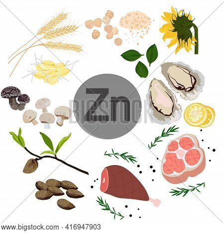 Zinc Vector Stock Illustration. Food Products With A High Content Of The Mineral. Oysters, Chickpeas