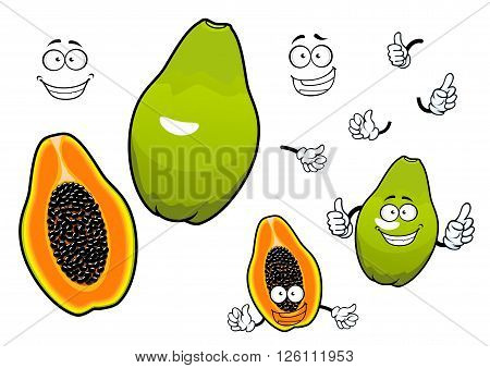 Whole and halved mexican tropical papaya fruit cartoon characters with joyful smiling faces. Great for recipe book, vegetarian menu, kitchen interior accessories design