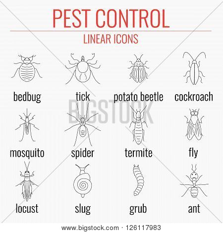 Pest control line icon set with insects and their names. Perfect for exterminator service and pest control companies.