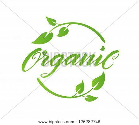 Organic brush lettering. Hand drawn word organic with green leaves. Label, logo template for organic products, healthy food markets.