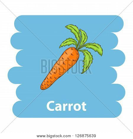 Carrot icon.Vector Carrot icon isolated.Cartoon Carrot vector.Vector vegetable Carrot icon isolated on background .Vector vegetable.Vector  Carrot icon isolated .Vegetarian Carrot healthy icon.