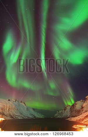 Aurora Borealis Over Ersfjorden, Tromso, Norway