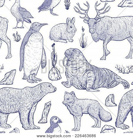 Seamless Pattern With Arctic Animals. Snowy Arctic Hare, Arctic Fox, Albatross, White Bear, North Re