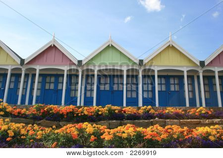 Seaside Chalets Or Beach Huts And Flowers