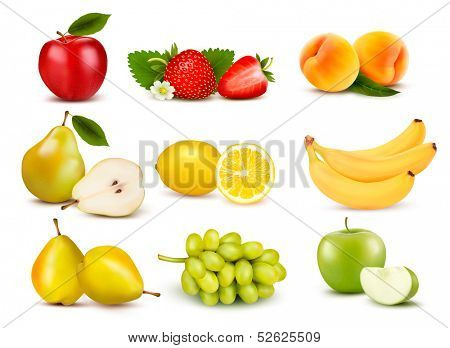 Big group of different fruit. Vector. 