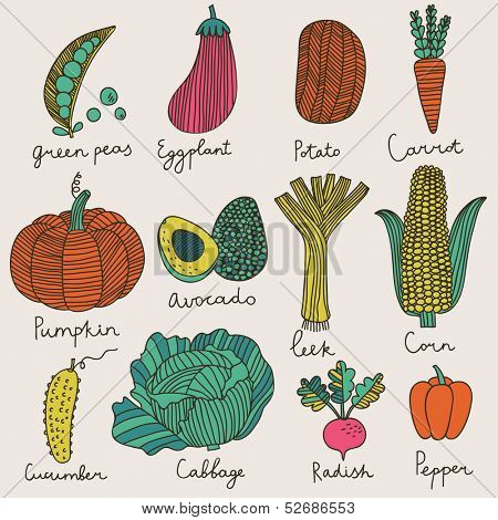 Tasty vegetables in vector set - green peas, eggplant, potato, carrot, pumpkin, avocado, leek, corn, cucumber, cabbage, radish, pepper. Vegetarian concept collection in cartoon style