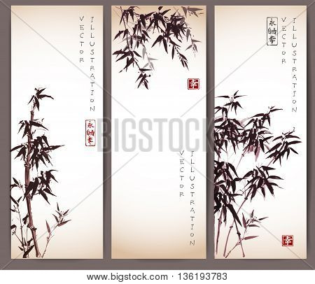 Three vintage banners with bamboo trees. Vector illustration. Traditional Japanese ink painting sumi-e. Contains hieroglyphs - eternity, freedom, happiness