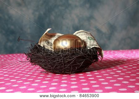 Nest Egg. A Solid 24K Golden Egg lays in a Black Bird Nest with a Genuine 100 Dollar bill.
Represents Retirement savings, Saving for a Rainy Day, Savings account, 401K, Banking, Finance business