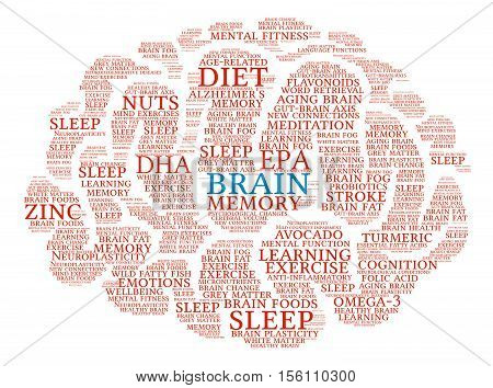 Brain Word Cloud