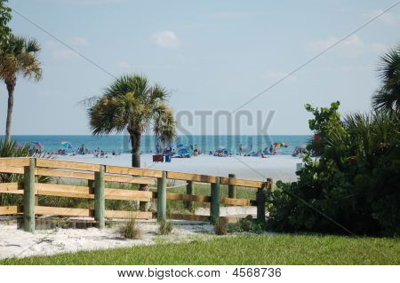 Summer On The Beach