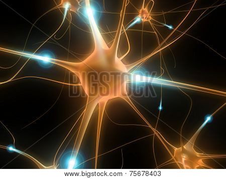 active neurone