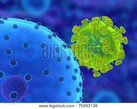 HI Virus infecting cell