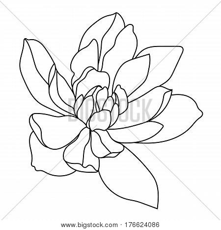 Graphical black flower illustration. black flower, contour flower, bloom flower, decorative flower, isolate flower, blossom flower, monochrome flower. Vector.