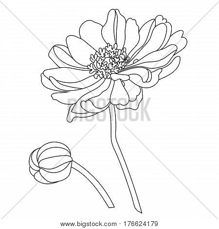 Graphical black flower illustration. black flower, contour flower, bloom flower, decorative flower, isolate flower, blossom flower, monochrome flower. Vector.