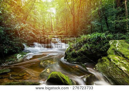 Mountain River Stream Waterfall Green Forest Landscape Nature Plant Tree Rainforest Jungle Small Wat