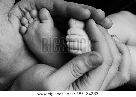 Cute child baby babe little foot in father hands. New born baby foot. Family care parents children love. Baby babe body foot leg. Close up view father hands baby care concept classic black and white