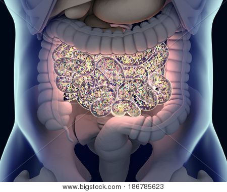 Gut Bacteria , Gut Flora, Microbiome. Bacteria Inside The Small Intestine, Concept, Representation.