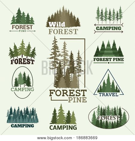 Tree outdoor travel green silhouette forest logo coniferous natural badge tops pine spruce branch cedar and plant leaf abstract stem drawing vector illustration. Panorama scene horizon decoration.