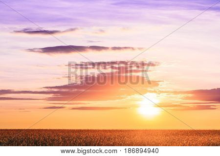 Natural Sunset Sunrise Over Field Or Meadow. Bright Dramatic Sky Over Ground. Countryside Landscape Under Scenic Colorful Sky At Sunset Dawn Sunrise. Skyline, Horizon. Warm Colours.