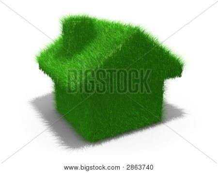 Groen huis