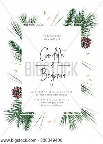 Emerald Christmas Greenery, Spruce, Fir, Pine Cones Seasonal Vector Design Frame. Woodland Simple St