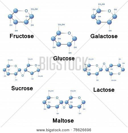 Sugar molecules