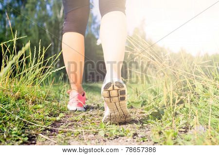 Walking Or Running Legs In Forest, Adventure And Exercising