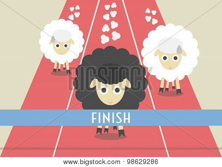 Sheep Race