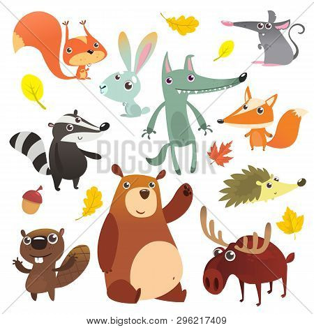 Cartoon Forest Animal Characters. Wild Cartoon Cute Animals Set. Big Set Of Cartoon Forest Animals F