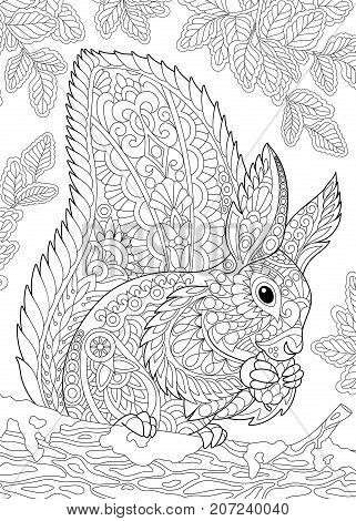 Coloring page of squirrel eating pine cone. Freehand sketch drawing for adult antistress coloring book in zentangle style.