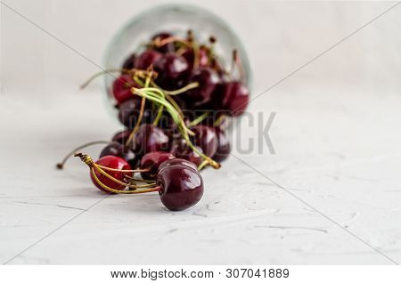 Ripe Fresh Red Sweet Cherry Poured From An Inverted Glass Cup On A White Concrete Background