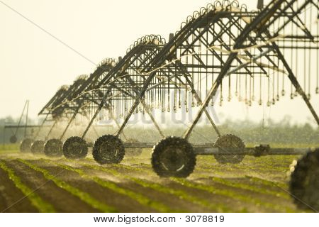 Agriculture