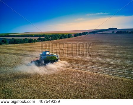 Aerial View On Combine Harvester Gathers The Wheat At Sunset. Harvesting Grain Field, Crop Season. V