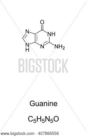 Guanine, G, Gua, Chemical Formula And Skeletal Structure. Nucleobase And A Purine Derivative, One Of