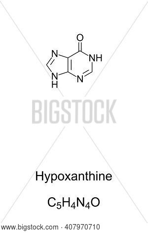 Hypoxanthine, Chemical Formula And Skeletal Structure. Naturally Occurring Purine Derivative And Con