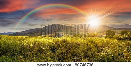 Meadow With Flowers In Mountains At Sunset