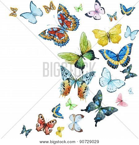 Watercolor butterflies