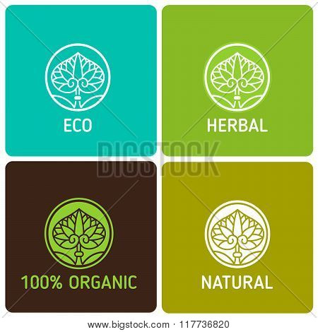 Organic Natural. Eco Vintage Icons. Icons Set. Icons With Text. Natural. Eco. Herbal. Eco Food. Food Organics. Eco Food Containers. Eco Food Pack. Natural Product. Food Recipes. Eco Logo. Leaves.