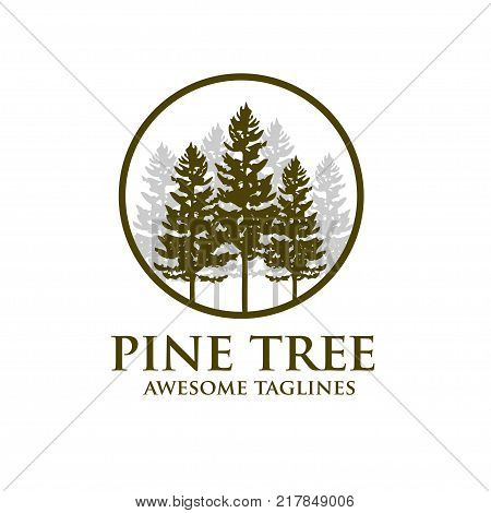 pine Tree outdoor travel green silhouette forest logo , natural pine tree badge abstract stem drawing vector illustration. creative pine tree silhouette  and circle logo vector