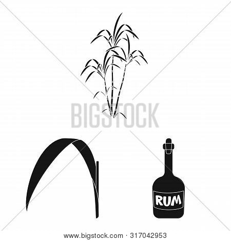 Vector Design Of Sucrose And Technology Icon. Set Of Sucrose And Cane Vector Icon For Stock.