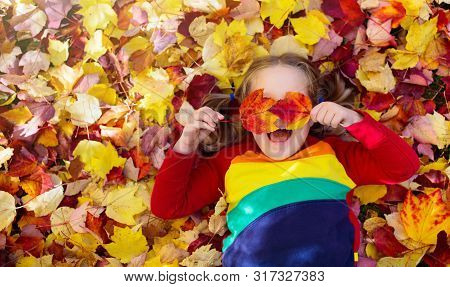 Child In Fall Park. Kid With Autumn Leaves.